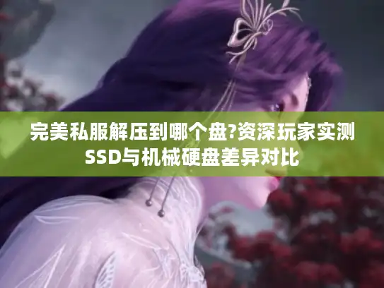 完美私服解压到哪个盘?资深玩家实测SSD与机械硬盘差异对比