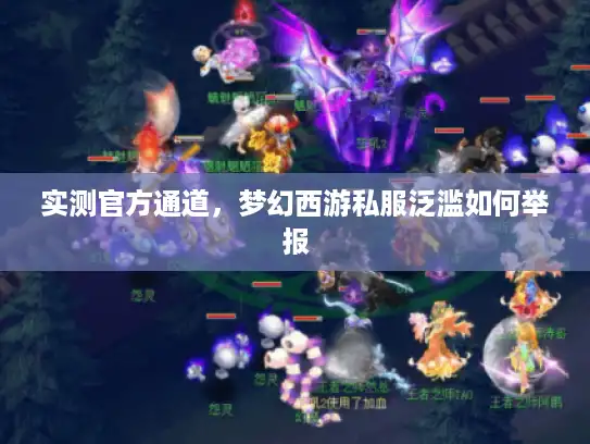 实测官方通道，梦幻西游私服泛滥如何举报