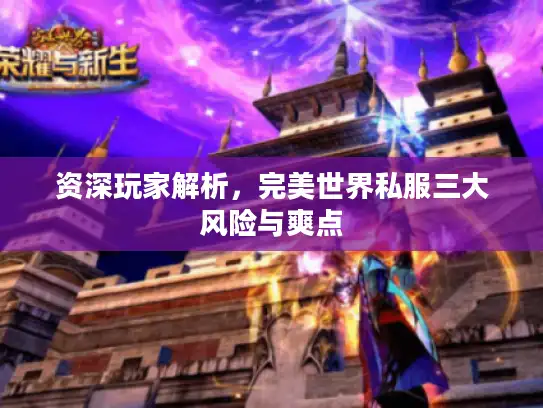 资深玩家解析，完美世界私服三大风险与爽点
