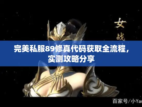 完美私服89修真代码获取全流程,实测攻略分享 完美私服89修真代码获取全流程,实测攻略分享