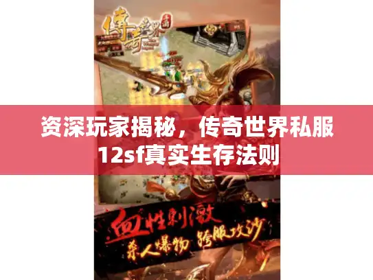 资深玩家揭秘,传奇世界私服12sf真实生存法则 资深玩家揭秘,传奇世界私服12sf真实生存法则