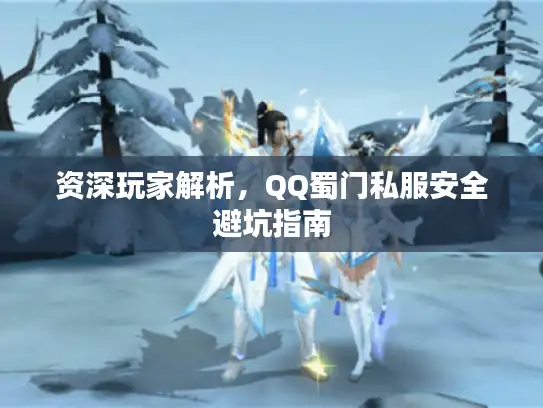 资深玩家解析，QQ蜀门私服安全避坑指南