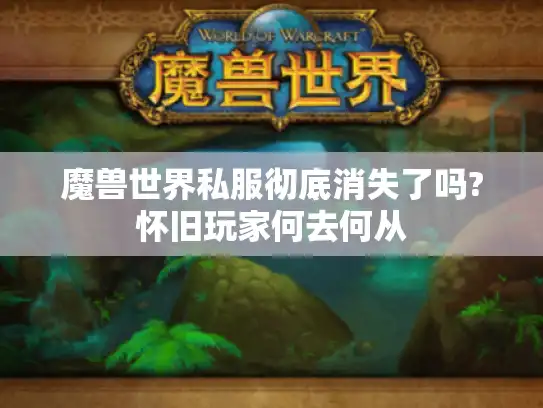 魔兽世界私服彻底消失了吗?怀旧玩家何去何从