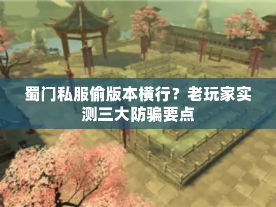 蜀门私服偷版本横行？老玩家实测三大防骗要点