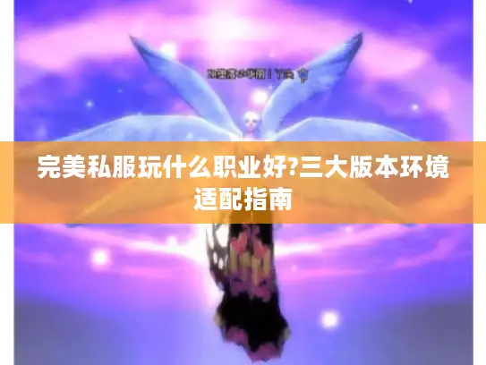 完美私服玩什么职业好?三大版本环境适配指南