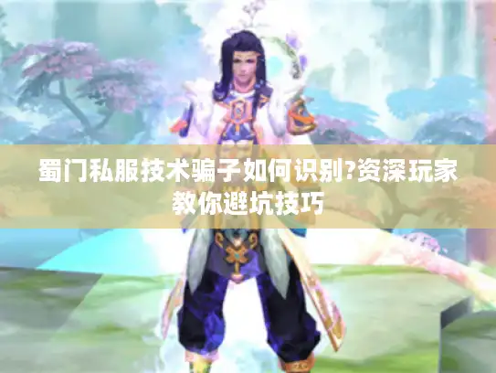 蜀门私服技术骗子如何识别?资深玩家教你避坑技巧