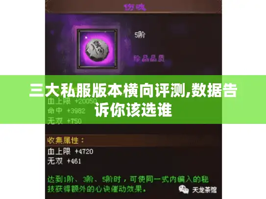 三大私服版本横向评测,数据告诉你该选谁