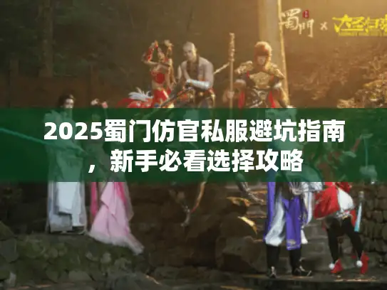 2025蜀门仿官私服避坑指南，新手必看选择攻略