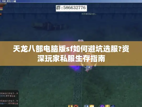 天龙八部电脑版sf如何避坑选服?资深玩家私服生存指南