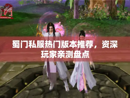 蜀门私服热门版本推荐，资深玩家亲测盘点