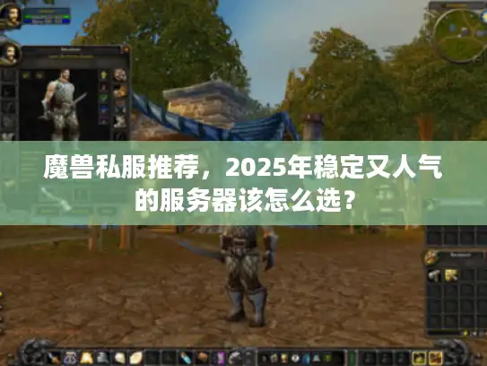 魔兽私服推荐，2025年稳定又人气的服务器该怎么选？
