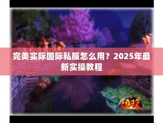 完美实际国际私服怎么用？2025年最新实操教程