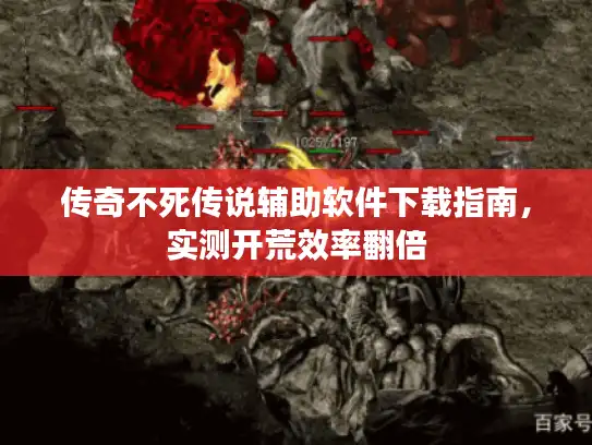 传奇不死传说辅助软件下载指南,实测开荒效率翻倍 传奇不死传说辅助软件下载指南,实测开荒效率翻倍