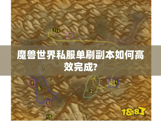 魔兽世界私服单刷副本如何高效完成? 魔兽世界私服单刷副本如何高效完成?