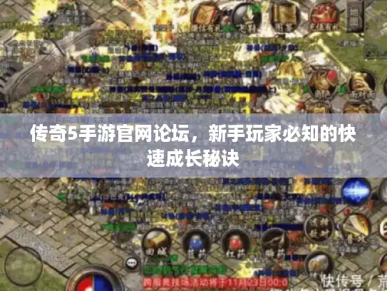 传奇5手游官网论坛，新手玩家必知的快速成长秘诀