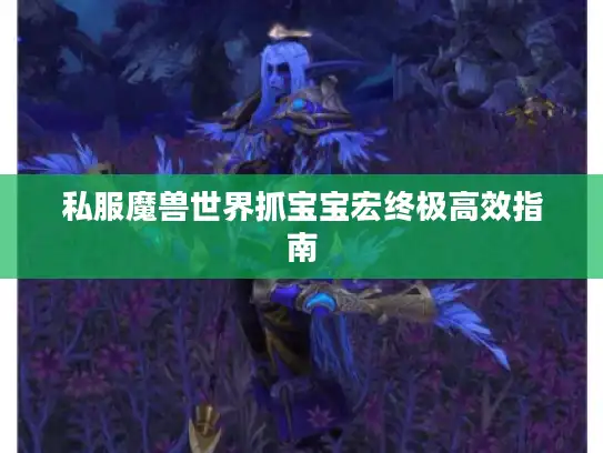 私服魔兽世界抓宝宝宏终极高效指南