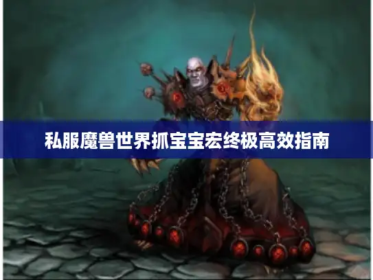 私服魔兽世界抓宝宝宏终极高效指南