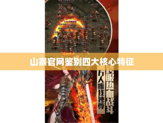 山寨官网鉴别四大核心特征