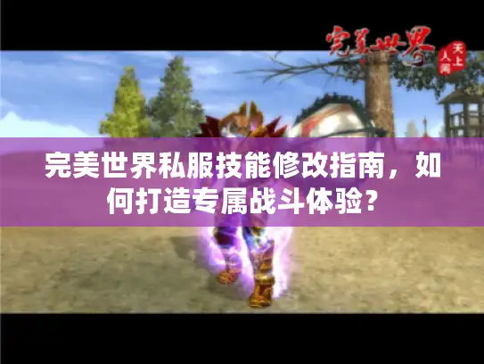 完美世界私服技能修改指南，如何打造专属战斗体验？