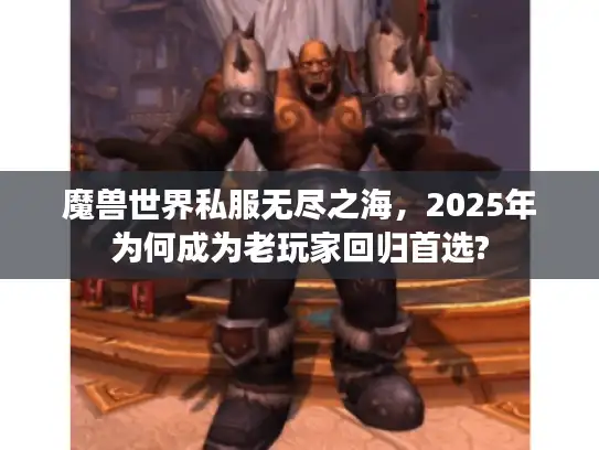 魔兽世界私服无尽之海，2025年为何成为老玩家回归首选?