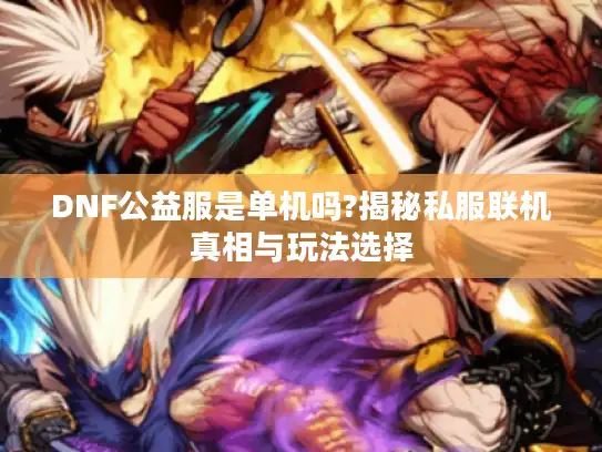 DNF公益服是单机吗?揭秘私服联机真相与玩法选择