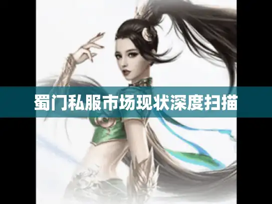 蜀门私服市场现状深度扫描