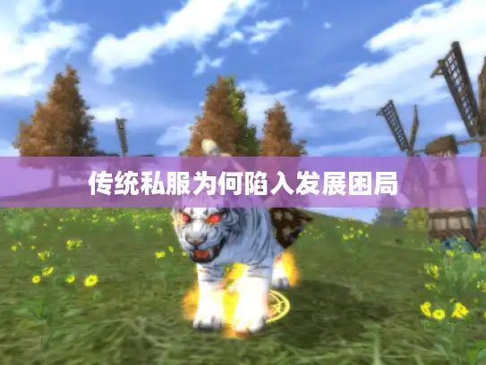 传统私服为何陷入发展困局
