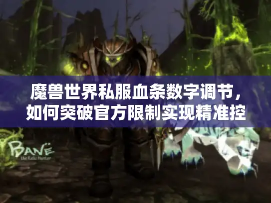 魔兽世界私服血条数字调节，如何突破官方限制实现精准控制？