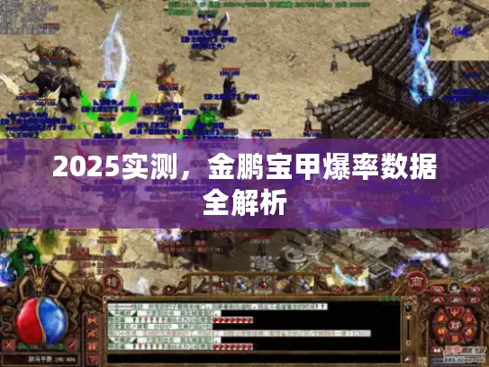 2025实测，金鹏宝甲爆率数据全解析