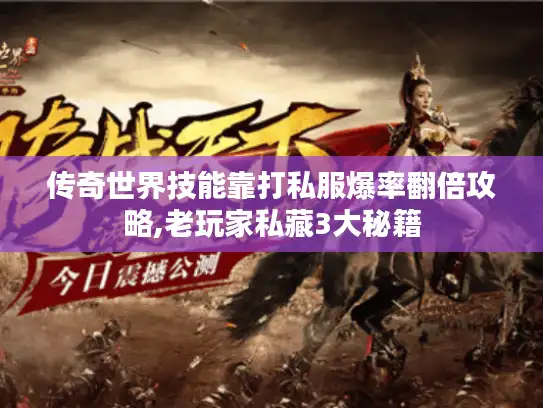 传奇世界技能靠打私服爆率翻倍攻略,老玩家私藏3大秘籍
