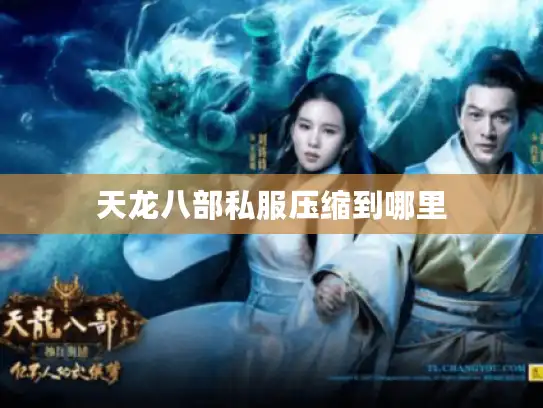 天龙八部私服压缩到哪里