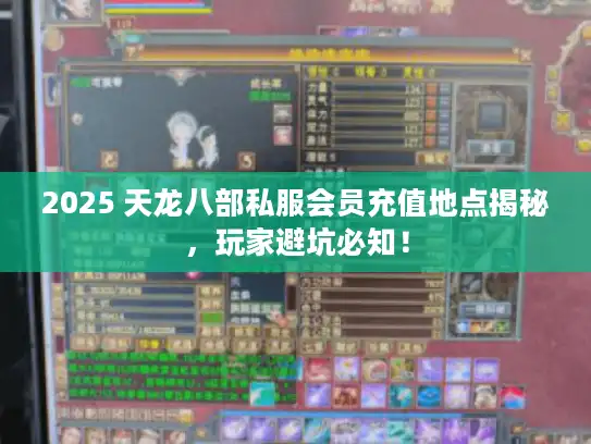 2025 天龙八部私服会员充值地点揭秘，玩家避坑必知！