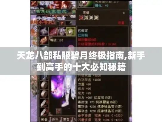 天龙八部私服碧月终极指南,新手到高手的十大必知秘籍