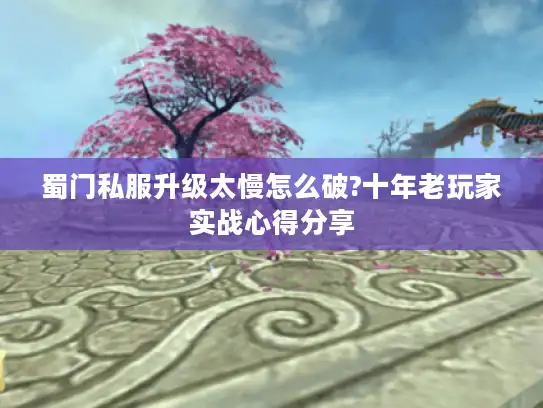 蜀门私服升级太慢怎么破?十年老玩家实战心得分享