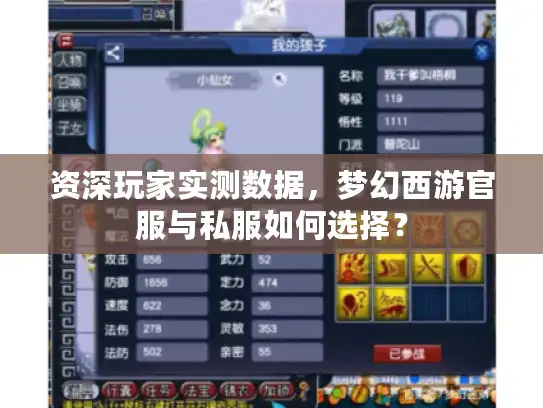 资深玩家实测数据，梦幻西游官服与私服如何选择？