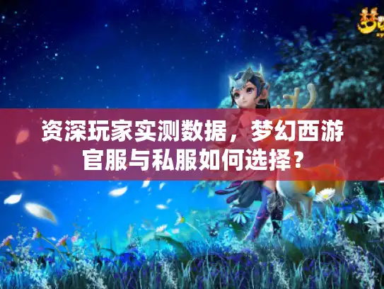资深玩家实测数据，梦幻西游官服与私服如何选择？