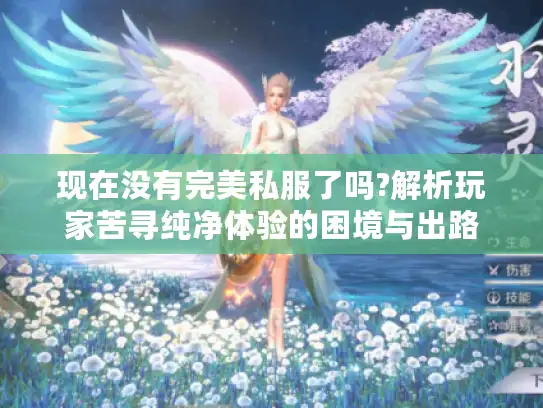 现在没有完美私服了吗?解析玩家苦寻纯净体验的困境与出路