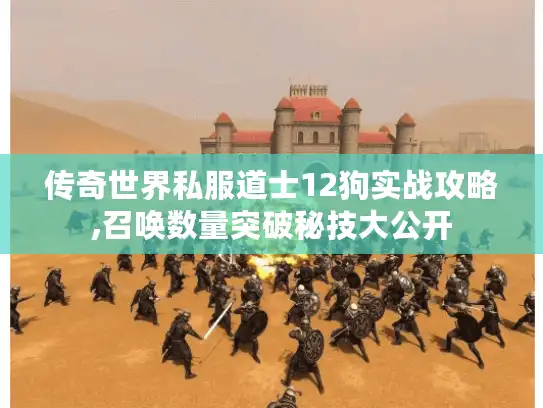 传奇世界私服道士12狗实战攻略,召唤数量突破秘技大公开