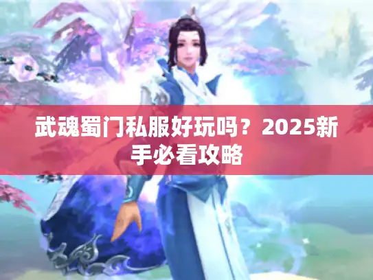 武魂蜀门私服好玩吗？2025新手必看攻略
