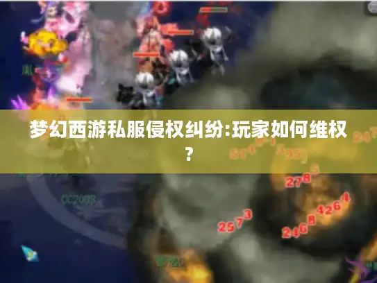 梦幻西游私服侵权纠纷:玩家如何维权? 梦幻西游私服侵权纠纷:玩家如何维权?