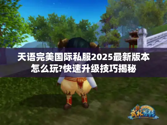 天语完美国际私服2025最新版本怎么玩?快速升级技巧揭秘