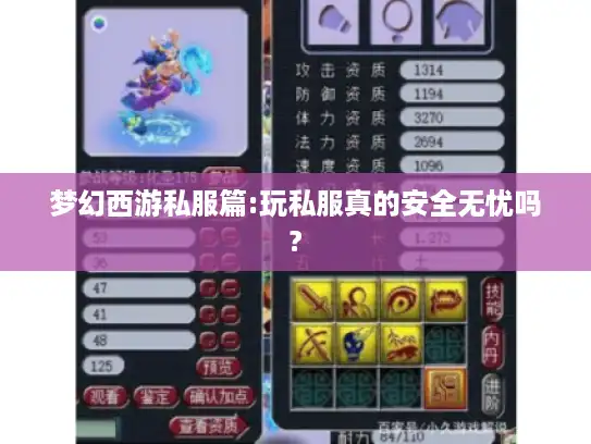 梦幻西游私服篇:玩私服真的安全无忧吗?