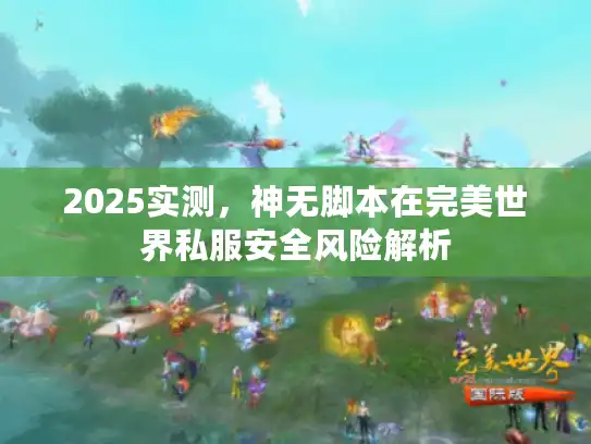 2025实测，神无脚本在完美世界私服安全风险解析