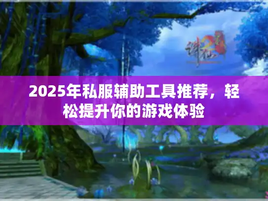 2025年私服辅助工具推荐，轻松提升你的游戏体验