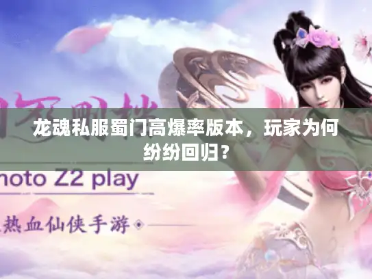 龙魂私服蜀门高爆率版本，玩家为何纷纷回归？