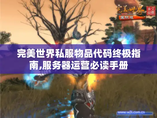 完美世界私服物品代码终极指南,服务器运营必读手册
