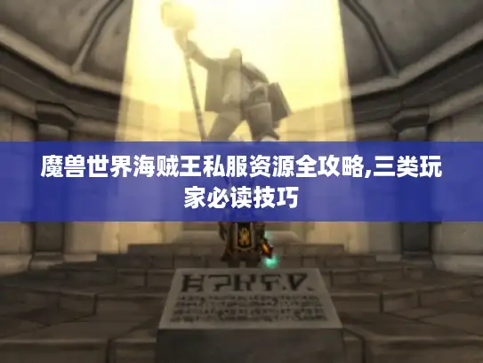 魔兽世界海贼王私服资源全攻略,三类玩家必读技巧