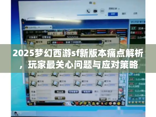 2025梦幻西游sf新版本痛点解析，玩家最关心问题与应对策略