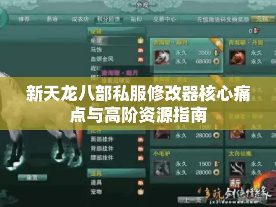 新天龙八部私服修改器核心痛点与高阶资源指南