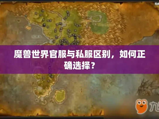 魔兽世界官服与私服区别，如何正确选择？